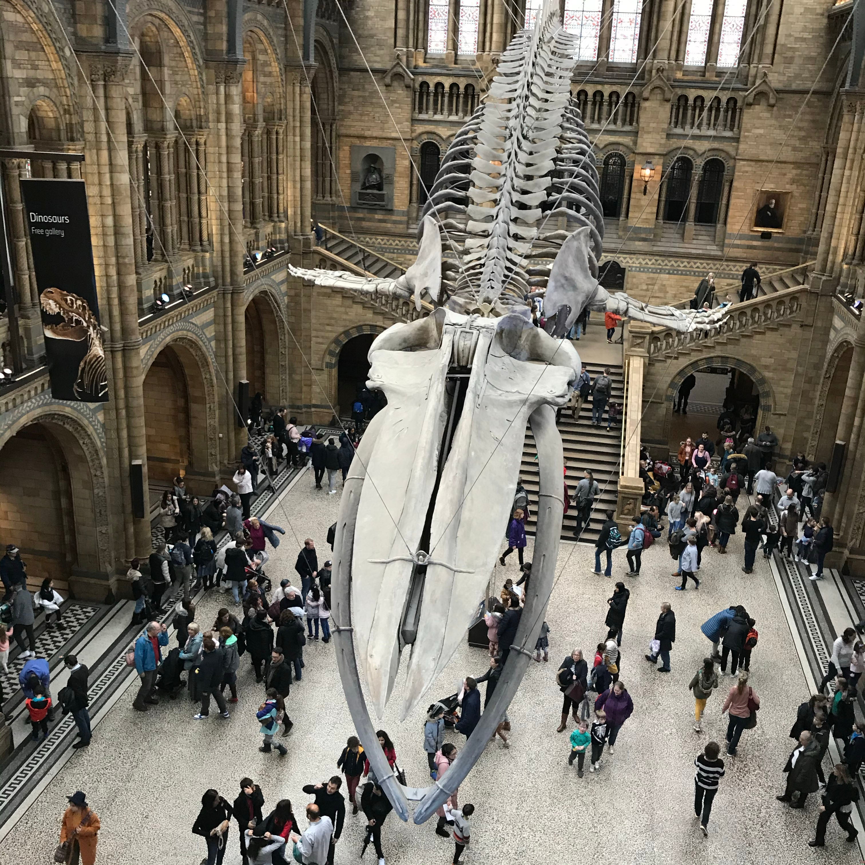 Half term juggle: free London fun and some design newness!