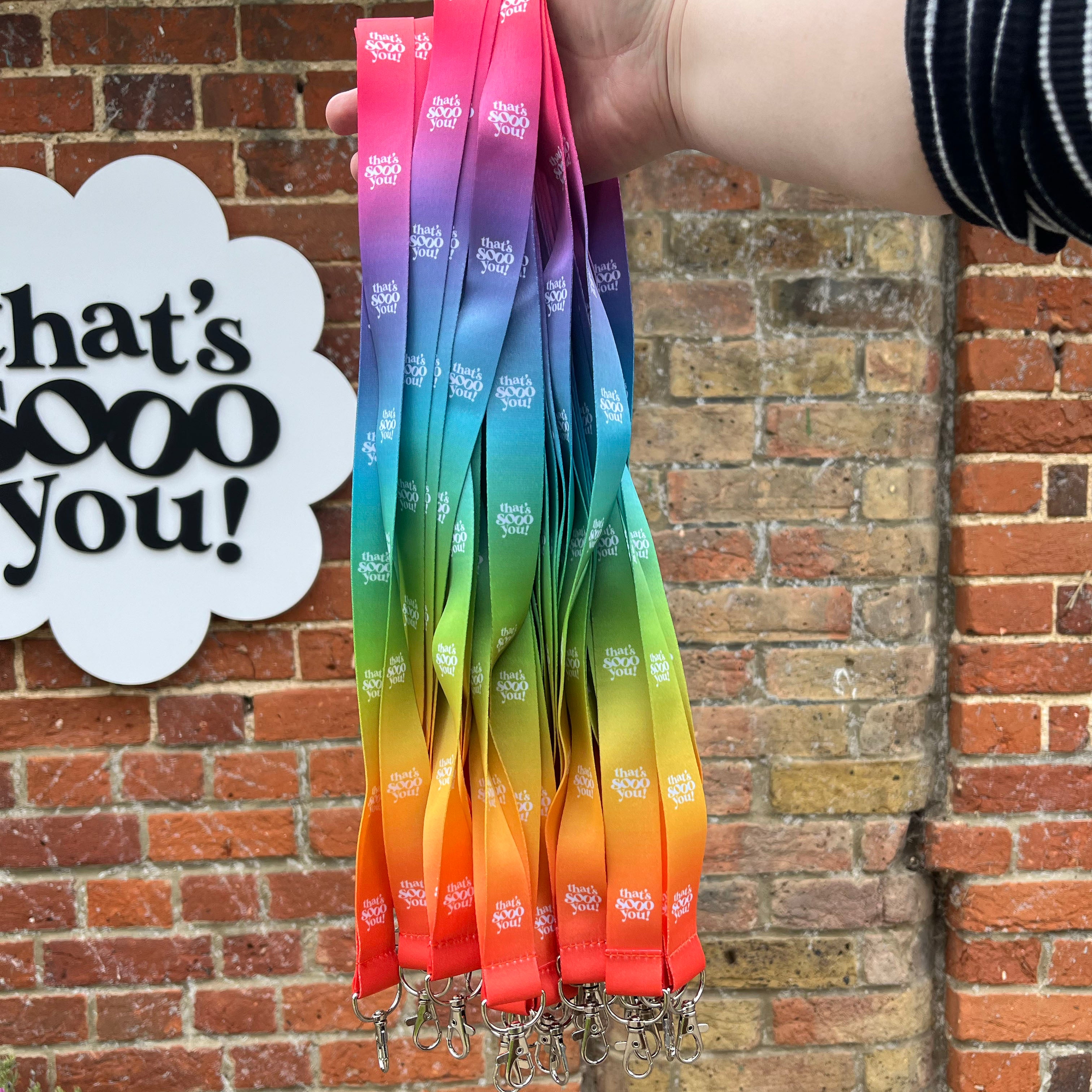 That's Sooo You lanyard, rainbow, bright colours, silver metal clip, TSY, key chain, festival, work accessory accessories 